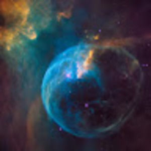 Meet your Posher, Ben